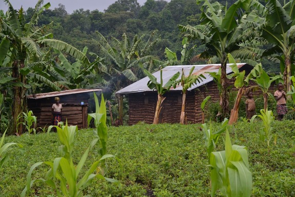 Landschaft und Landbevölkerung von Uganda